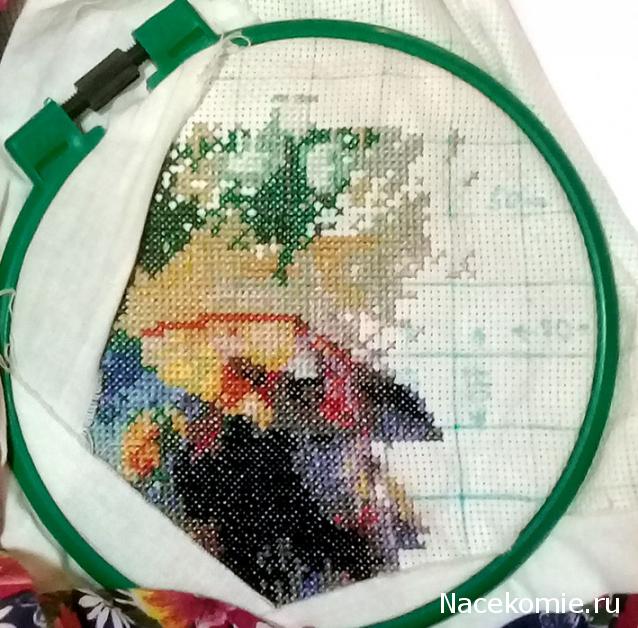 100 крестиков!