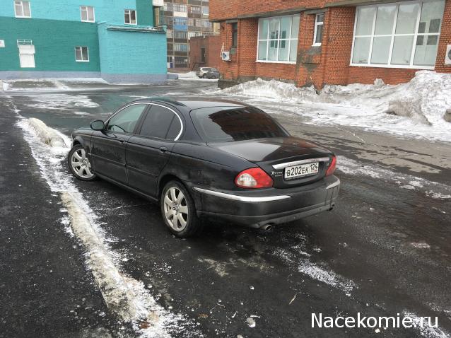 Автолегенды вживую