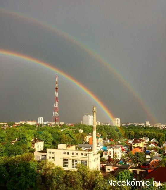 Тракторная болталка