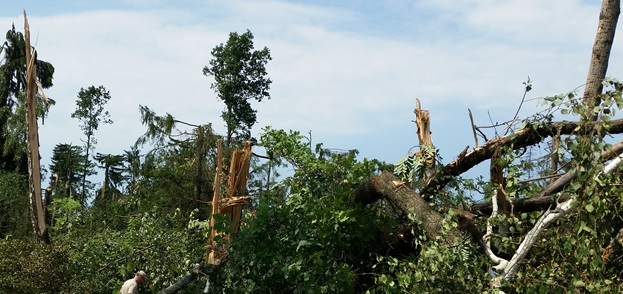 Железная Дорога в Миниатюре - Болталка