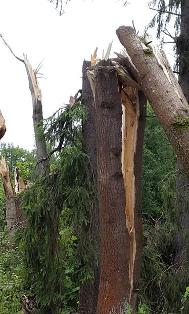 Железная Дорога в Миниатюре - Болталка