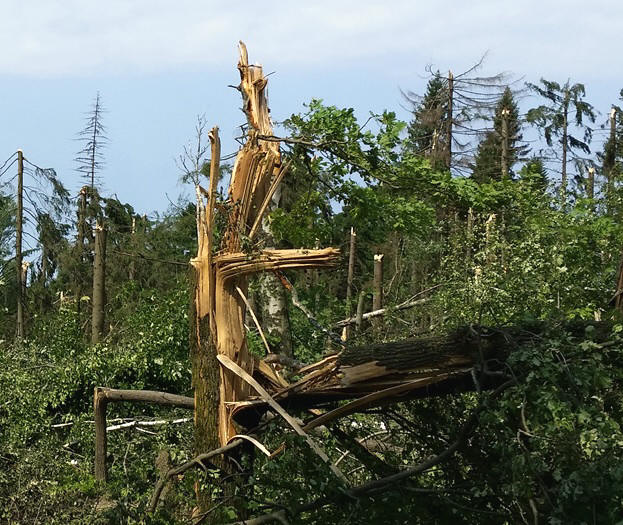 Железная Дорога в Миниатюре - Болталка