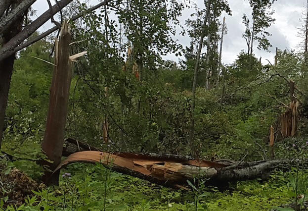 Железная Дорога в Миниатюре - Болталка