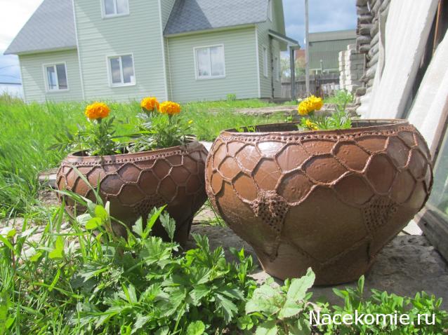 Margaritka. Гасиенда Каса де лос Суэньос