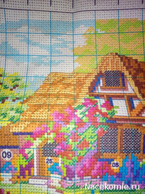 100 крестиков!