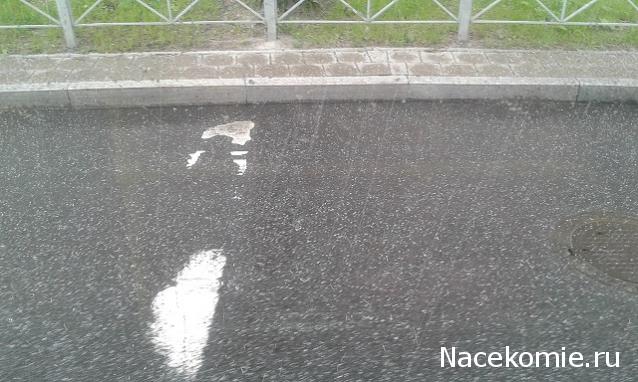 Железная Дорога в Миниатюре - Болталка