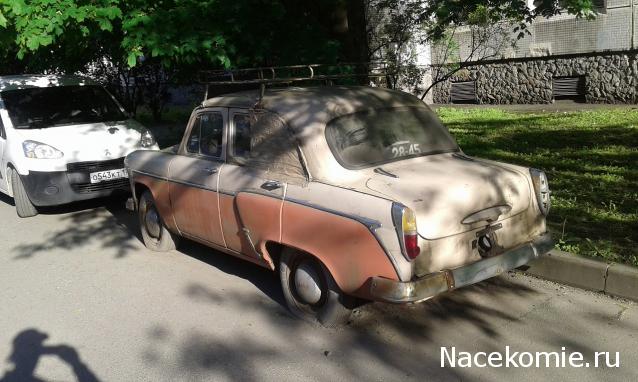 Автолегенды вживую