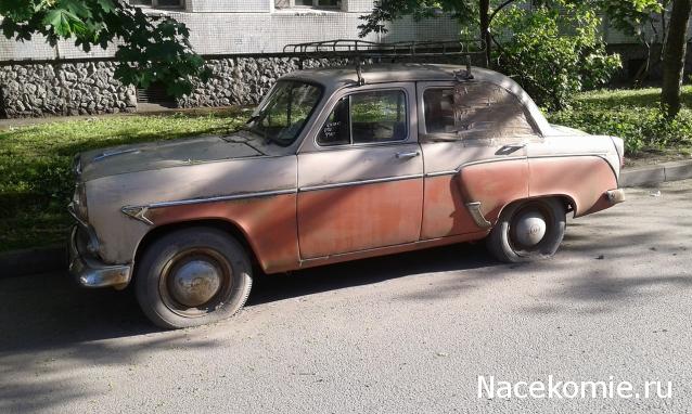 Автолегенды вживую