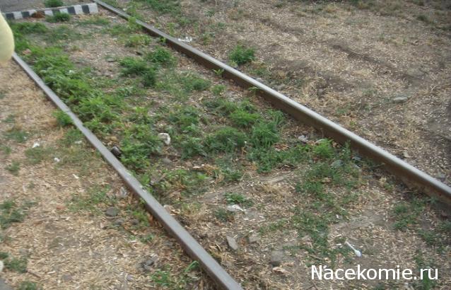 Железная Дорога в Миниатюре - Болталка