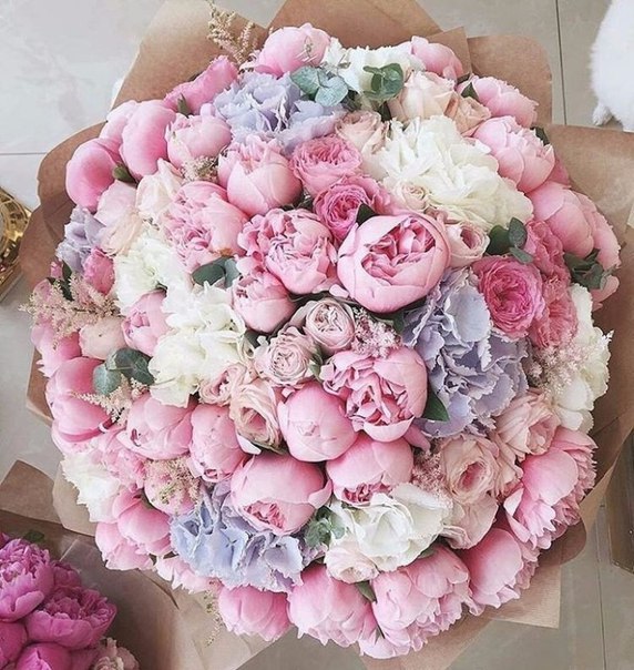 Наши Дни Рождения