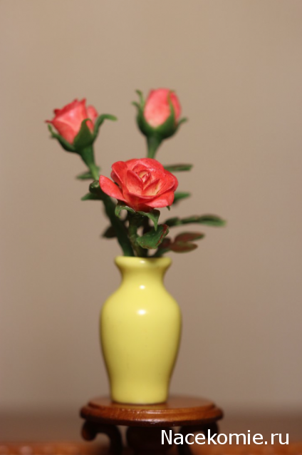 Caracal, строительство в разгаре