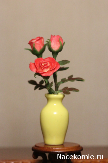 Caracal, строительство в разгаре