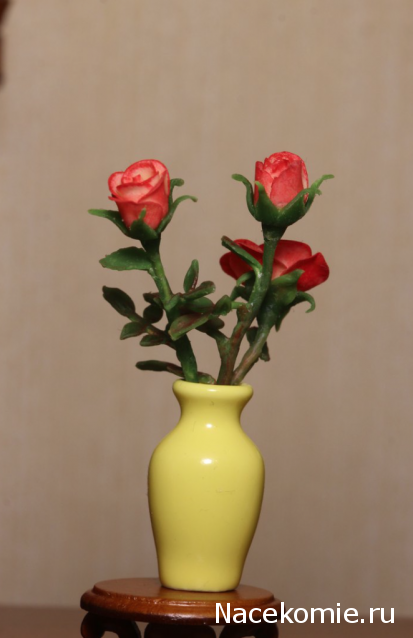 Caracal, строительство в разгаре