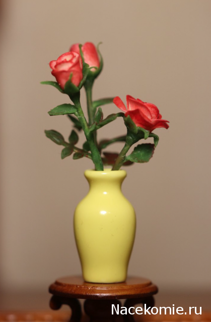 Caracal, строительство в разгаре