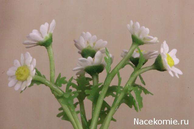 Caracal, строительство в разгаре