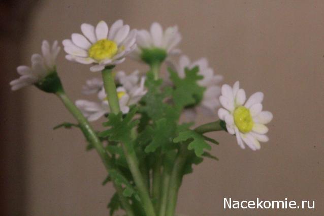 Caracal, строительство в разгаре