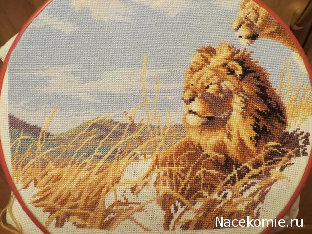 100 крестиков!