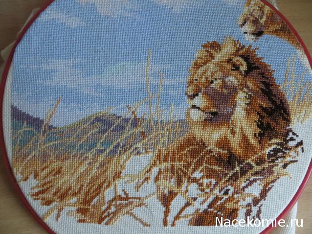 100 крестиков!