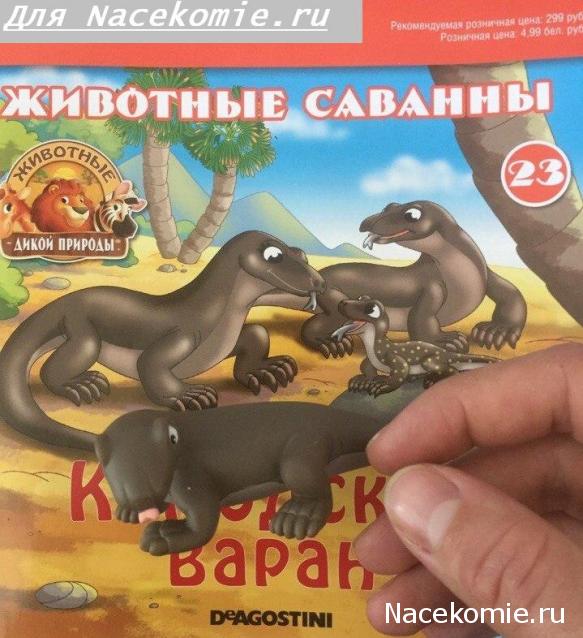 Животные Дикой Природы №23 - Самец Комодского Варана Кен