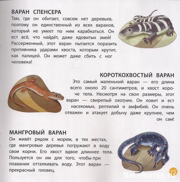 Животные Дикой Природы №21 - Детеныш Гигантского Варана Яна и 2-ая часть палатки рейнджеров