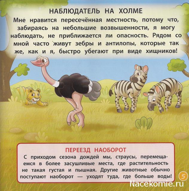 Животные Дикой Природы №20 - Самка Страуса Лейла
