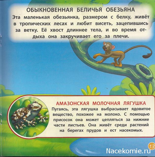 Животные Дикой Природы №19 - Самка Муравьеда Мурми и 1-ая часть палатки рейнджеров