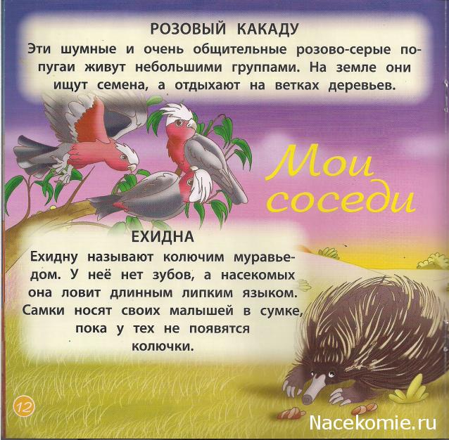 Животные Дикой Природы №21 - Детеныш Гигантского Варана Яна и 2-ая часть палатки рейнджеров