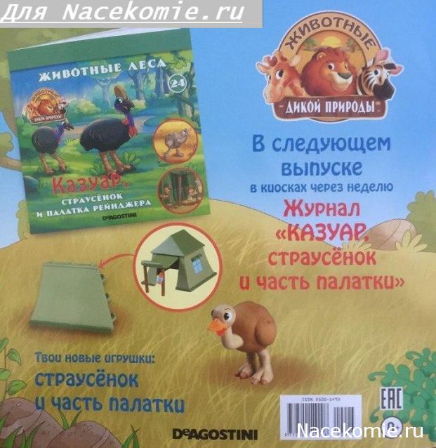 Животные Дикой Природы №23 - Самец Комодского Варана Кен