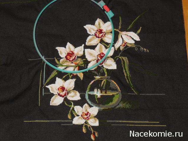 100 крестиков!