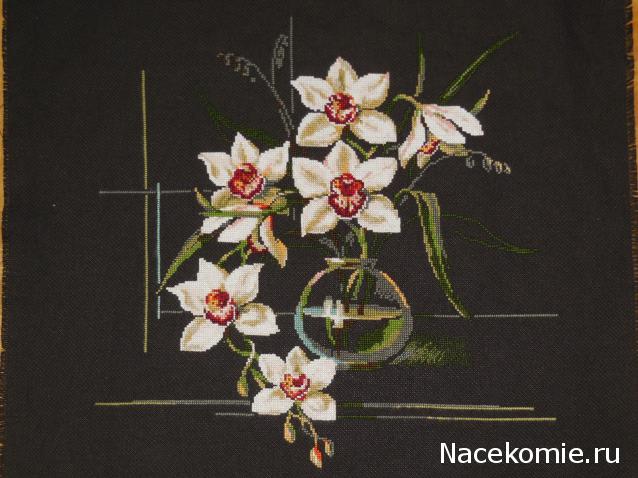 100 крестиков!