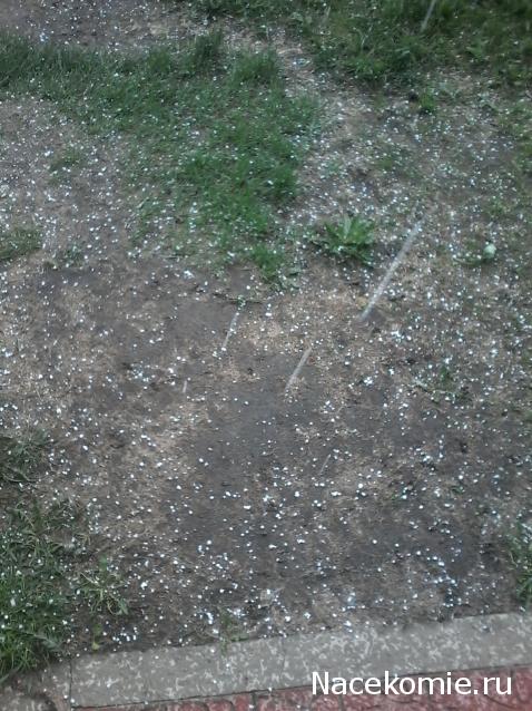 Железная Дорога в Миниатюре - Болталка