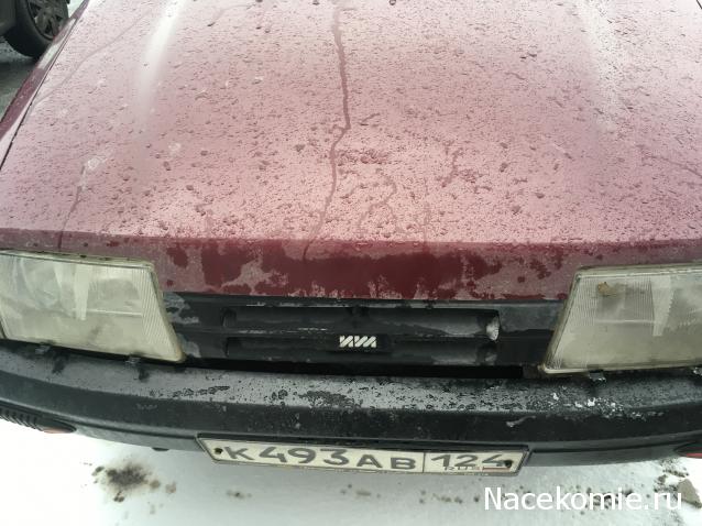 Автолегенды вживую