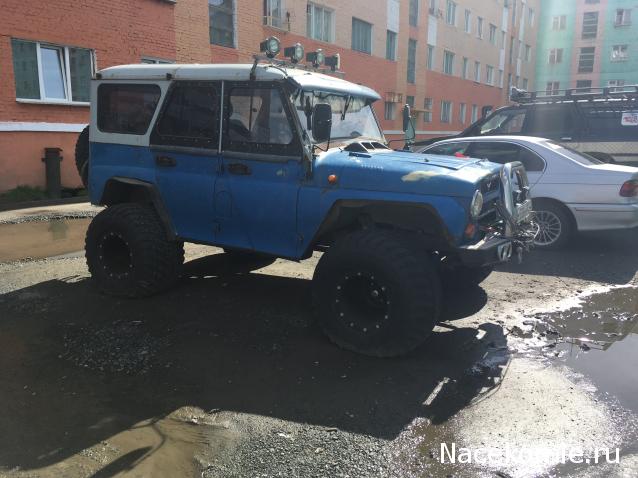 Автолегенды вживую