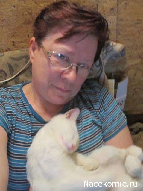 Фото кошек)))))