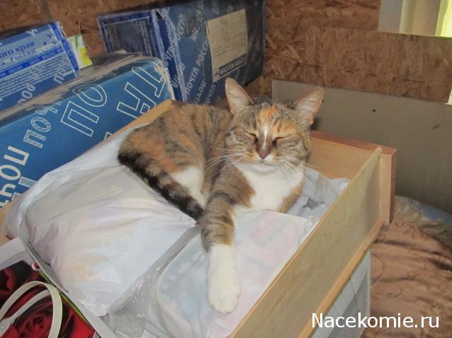 Фото кошек)))))