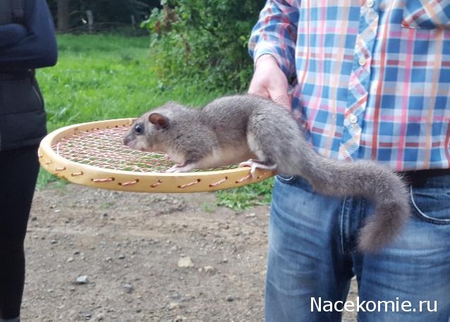 "Живой уголок"