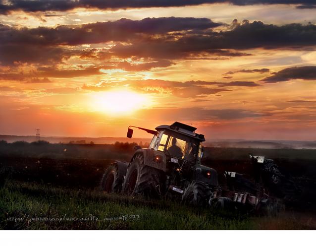 Праздник каждый день - поздравлялка Авторазделов