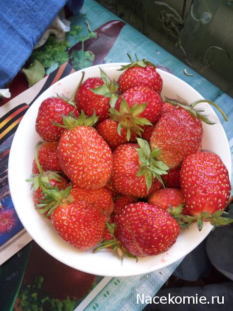 100 крестиков!