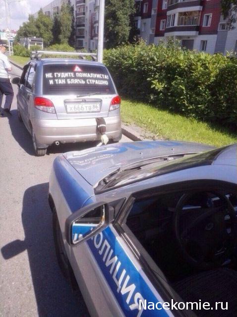 Болталка АЛ и АНС