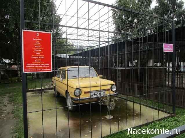 Болталка АЛ и АНС