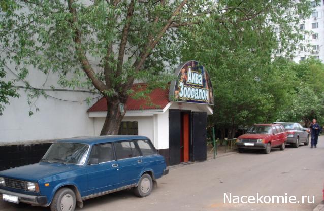 Автолегенды вживую