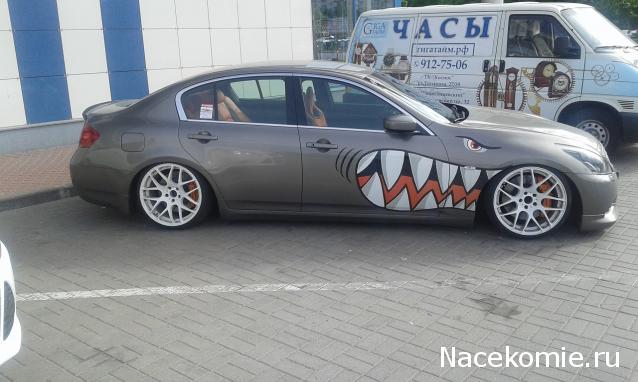 Болталка АЛ и АНС