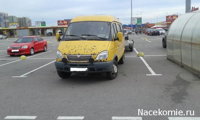 Автолегенды вживую