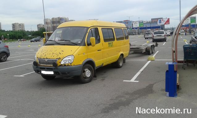 Автолегенды вживую