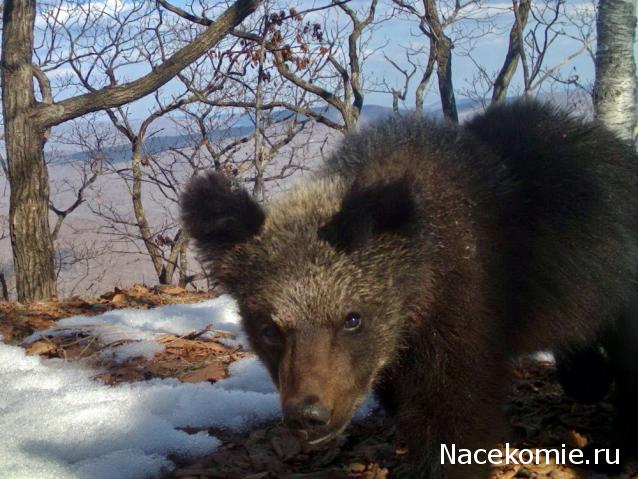 Мой любимый город или дорогие сердцу места