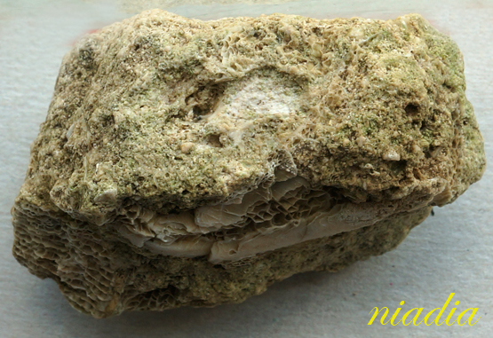 Компания кладоискателей. Болталка форума Минералов