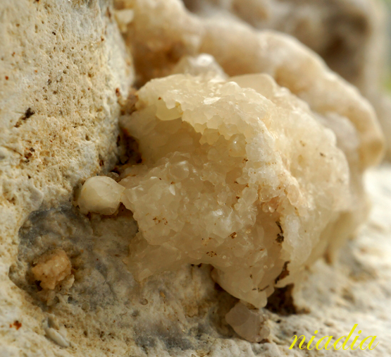 Компания кладоискателей. Болталка форума Минералов