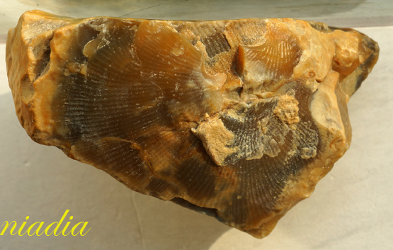 Компания кладоискателей. Болталка форума Минералов