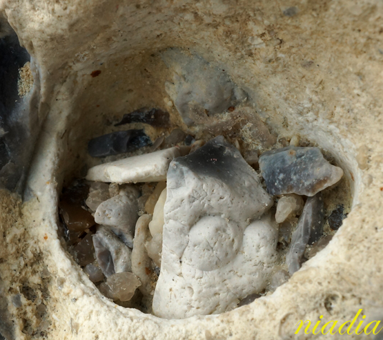 Компания кладоискателей. Болталка форума Минералов