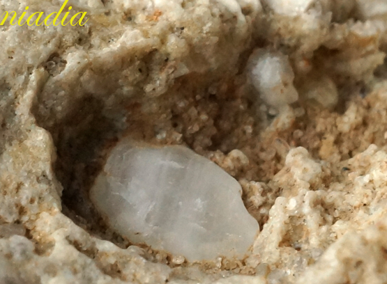 Компания кладоискателей. Болталка форума Минералов